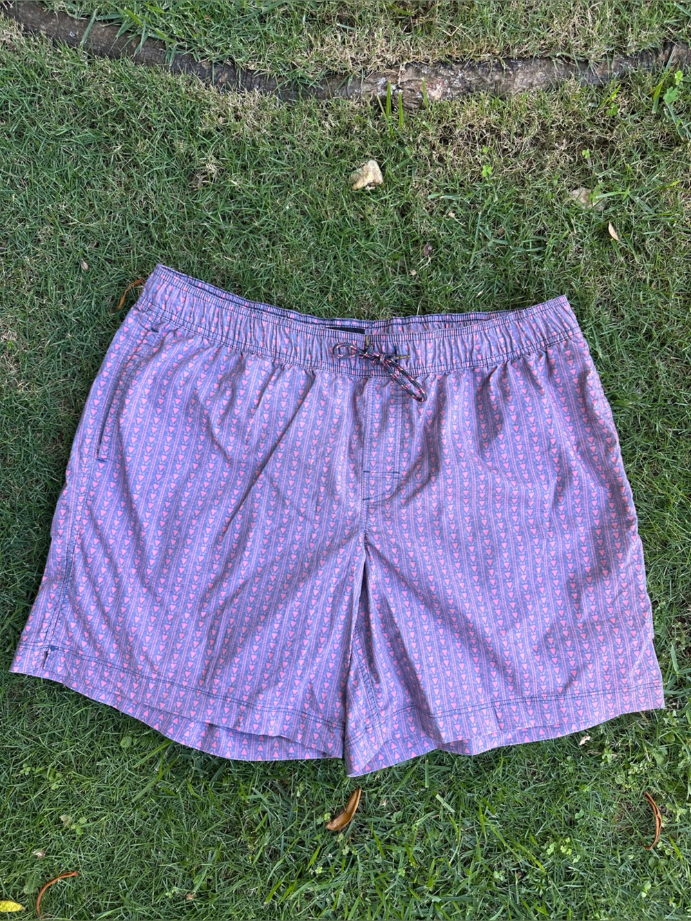 Rails Kian Swim Short in Tribal Red XL